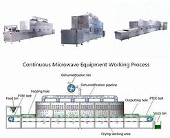 Image result for Microwave Dryer Equipment