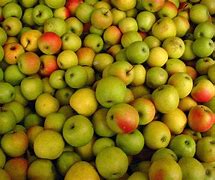 Image result for Pic of Green Apple Varieties