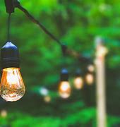 Image result for Cute Light Bulb Background