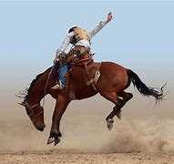 Image result for Wild Horse Race Rodeo