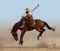 Image result for Crazy Bucking Horse