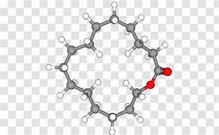 Image result for Musk Chemical Compound
