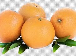 Image result for Orange Tropical Fruit