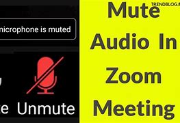 Image result for Mute Button On iPhone 10