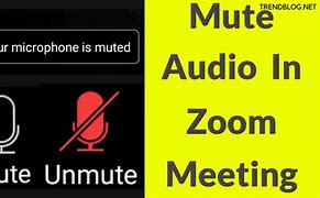 Image result for Mute My Phone