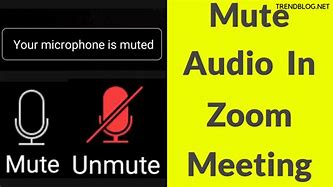 Image result for Phone Mute Button On iPhone