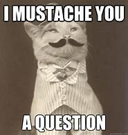 Image result for Mustache You a Question Meme