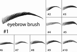 Image result for Eyebrow Brush Photoshop