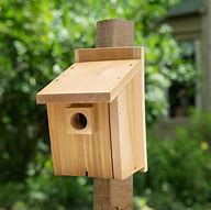 Image result for Bluebird Bird House