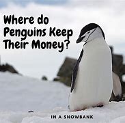 Image result for Initial D Penguin Meme