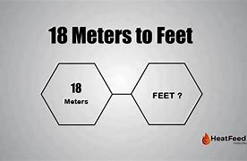 Image result for 18 Meters Compare to Things