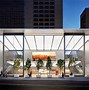 Image result for Most Beautiful Apple Store in the World Tree