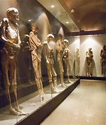 Image result for Mummies De Guanajuato