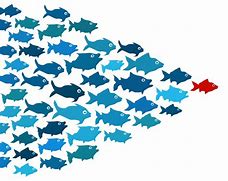 Image result for School of Fish Clip Art PNG