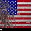 Image result for American Flag Barbed Wire