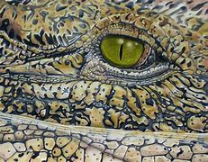 Image result for Crocodile Painting