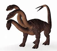 Image result for Biggest Creature in the World
