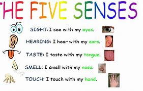 Image result for 5 Senses Eyes