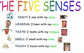 Image result for 5 Senses Poem Examples