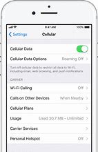 Image result for Cellular Data Options On iPhone
