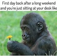 Image result for Weekend Over Meme