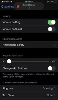 Image result for Muting Mic On iPhone