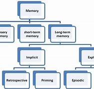 Image result for Memory Construction Diagram