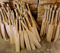 Image result for Cricket Bat Wood From Desert