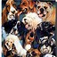 Image result for Graphic Design Animal Poster