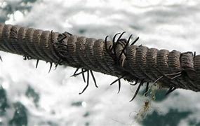 Image result for Wire Rope Heat Damage