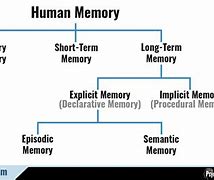 Image result for Types of Memory Images