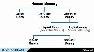 Image result for Types of Memory Wrritten