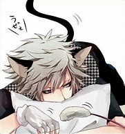 Image result for Anime Boy Cat Ears