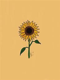 Image result for Sunflower Vans Wallpaper