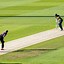 Image result for Cricket Pitch