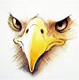 Image result for Eagle Face Line Drawing