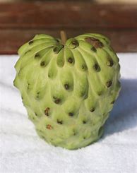 Image result for Exotic Apple Fruit