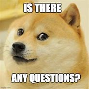 Image result for Animal Questions Meme