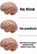 Image result for Brain Anatomy Meme