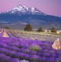 Image result for 10 Most Beautiful Scenery
