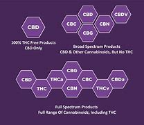 Image result for CBD Uses Chart