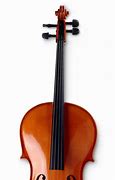 Image result for 3 String Cello