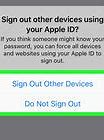 Image result for Apple ID Example