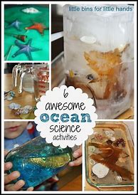 Image result for Ocean Science Experiment Preschool