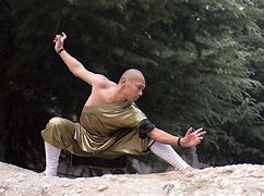 Image result for Kung Fu Styles