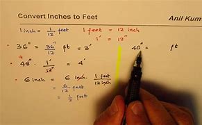 Image result for 56 Inches in Feet