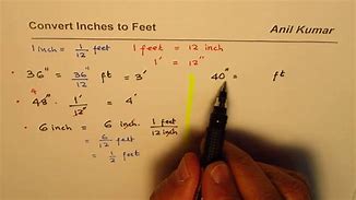 Image result for 1 55 M in Feet