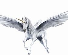 Image result for Flying Unicorn White