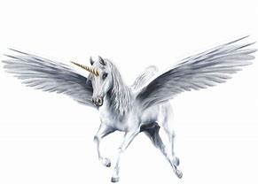 Image result for 14 Hands Unicorn White