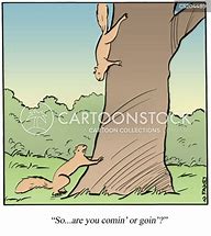 Image result for Funny Squirrel Comics